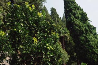 Анатолий & Кристина. Александр Уфимцев - Cвадебный и семейный фотограф: Челябинск, Екатеринбург, Миасс.